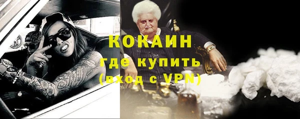 дмт Козловка