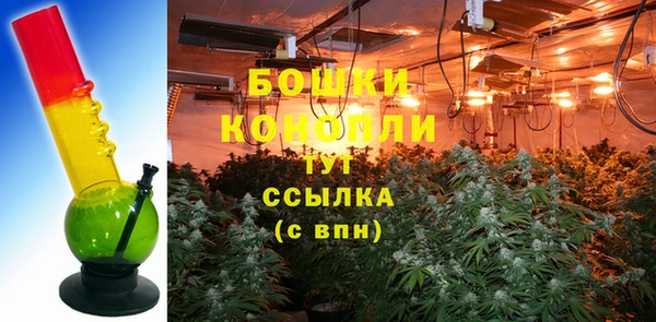 дмт Козловка