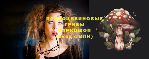 ешки Кодинск