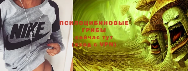 тгк Козельск