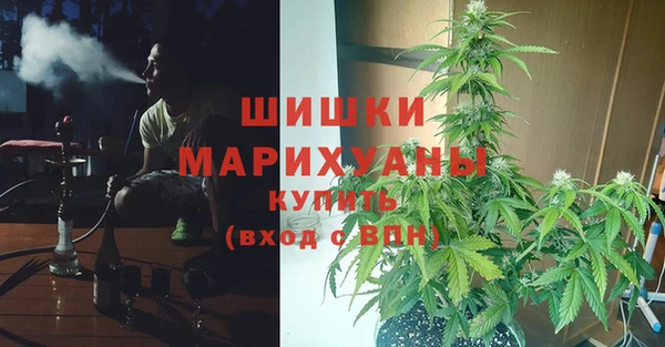 тгк Козельск